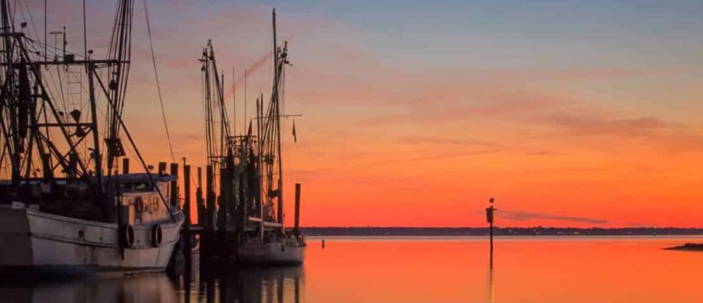 Charleston Local Fish And Seafood Market Fresh Fish, Oysters